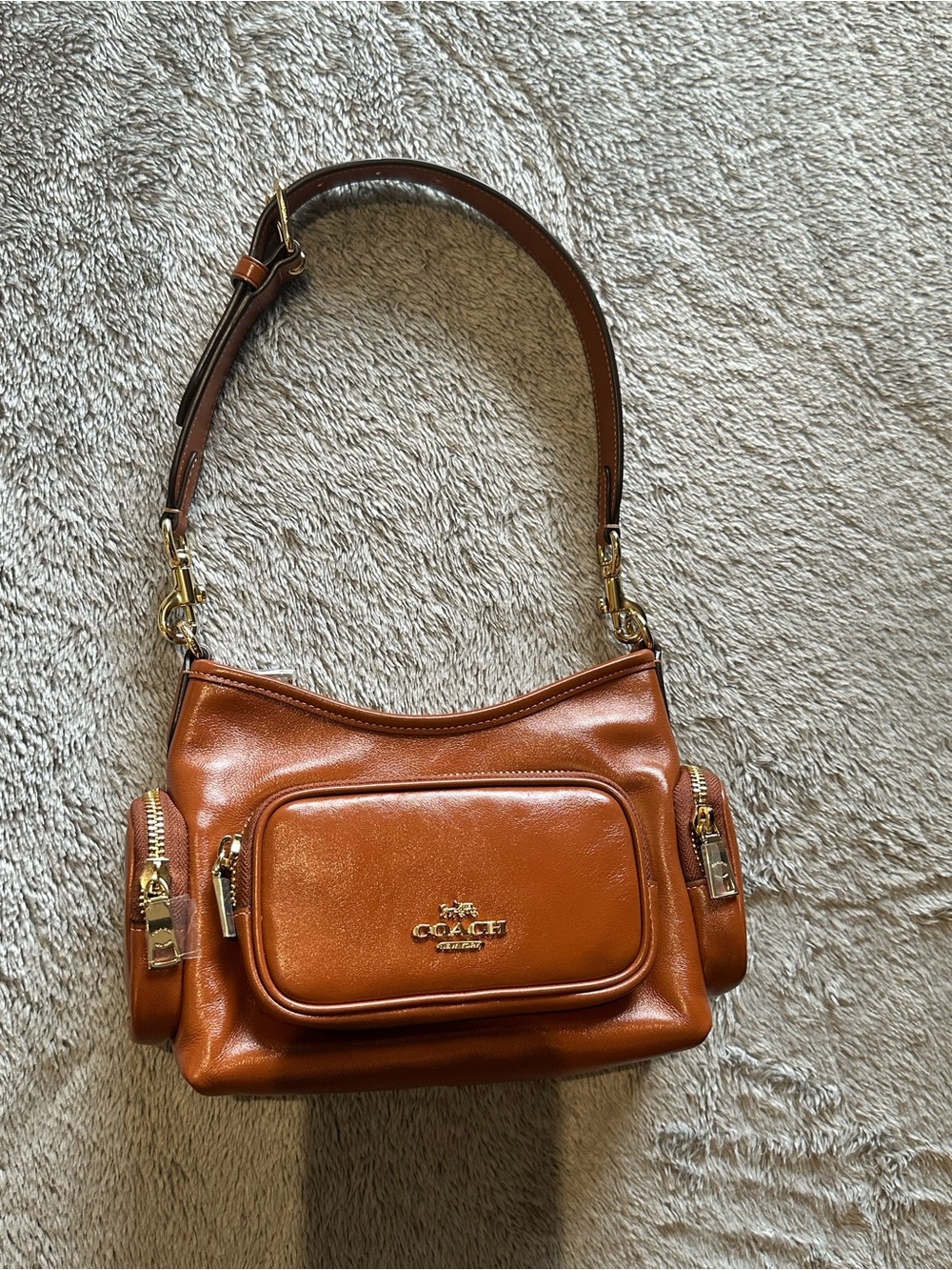 Coach Leather Shoulder Bag in Chestnut